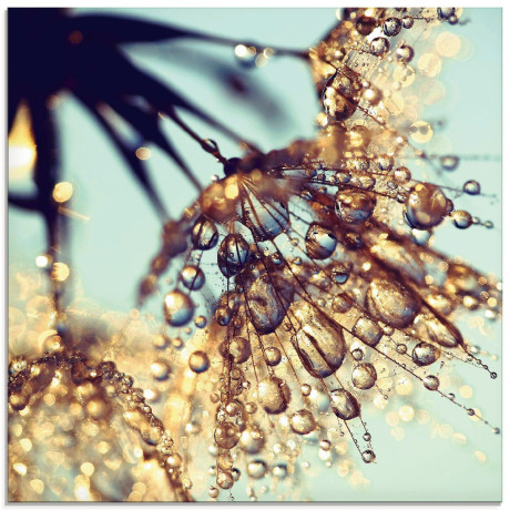 Artland Print op glas Pluizenbol gouden regen