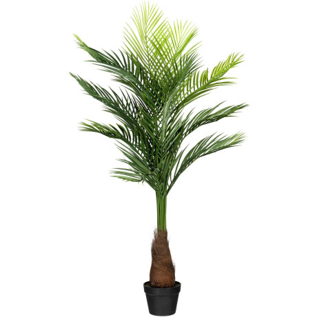 Creativ green Kunstpalm Gouden palm (1 stuk)