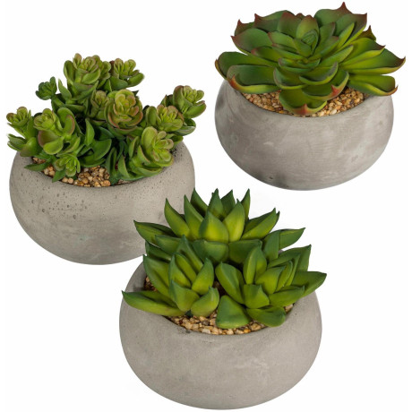 Creativ green Kunstplant Vetplanten (set, 3 stuks)