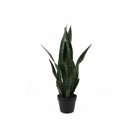 Kunstplant Sansevieria | Present Time