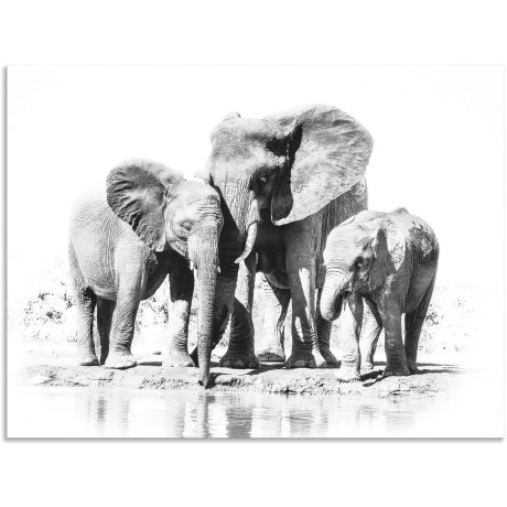 Artland Artprint Olifantenmoeder met kinderen als artprint van aluminium, artprint voor buiten, artprint op linnen, poster in verschillende maten. maten