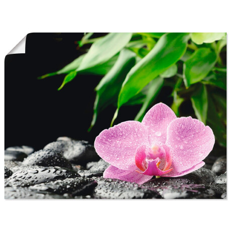 Artland Artprint Roze orchidee op zwarte zen stenen als artprint op linnen, poster in verschillende formaten maten