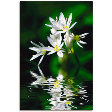 Artland Artprint Wildeknoflookbloemen met waterspiegeling als artprint op linnen, poster in verschillende formaten maten