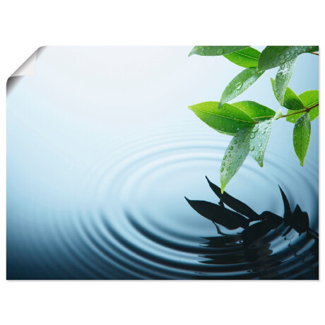 Artland Poster Plant en water als artprint van aluminium, artprint op linnen, muursticker of poster in verschillende maten