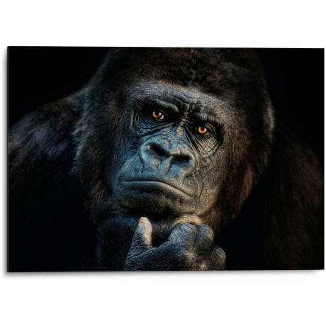 Platinum Aluminium dibond print Gorilla Joachim G. Pinkawa (1 stuk)