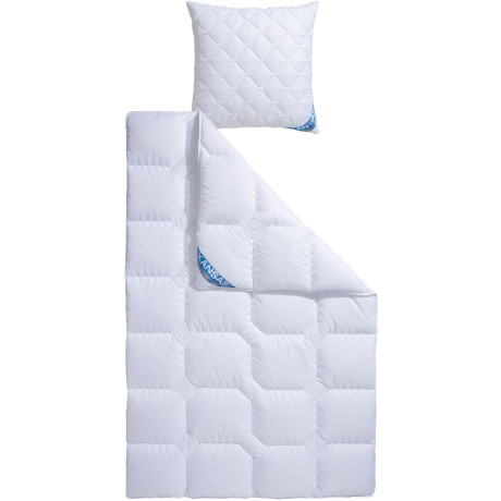 f.a.n. Frankenstolz Synthetisch dekbed + hoofdkussen Kansas, 2-delig set met kussens 80x80 cm Dekbed 135x200 cm, 155x220 cm voor zomer of winter (voordeelset)