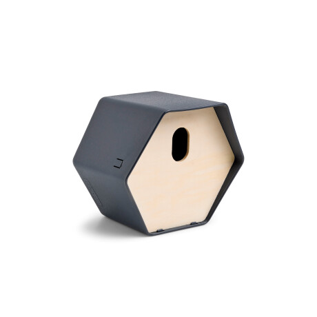 CAPI EUROPE Vogelhuisje Hive 2 (antraciet)