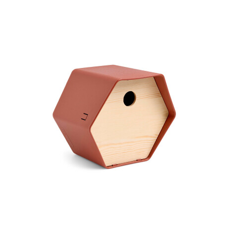 CAPI EUROPE Vogelhuisje Hive 1 (Bruin)