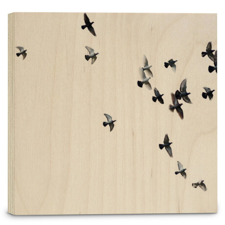 Houtprint Birds | Orangewallz