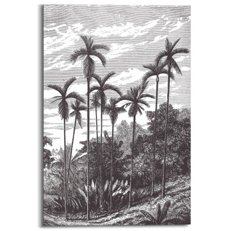 Houtprint Charcoal Palms | Orangewallz