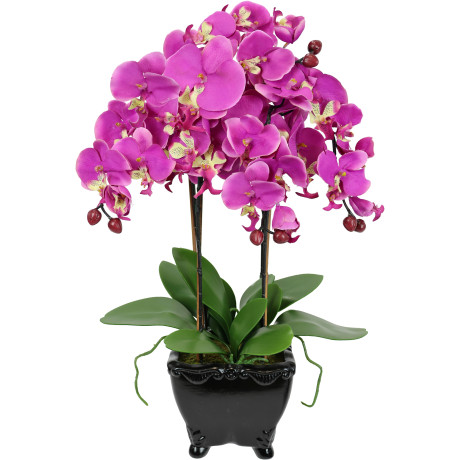I.GE.A. Kunstbloem Kunstmatige orchidee in schaal phalaenopsis kunstbloem (1 stuk)