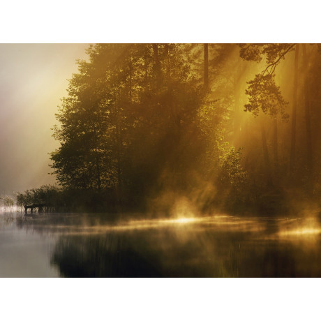 Papermoon Fotobehang Misty Early Morning