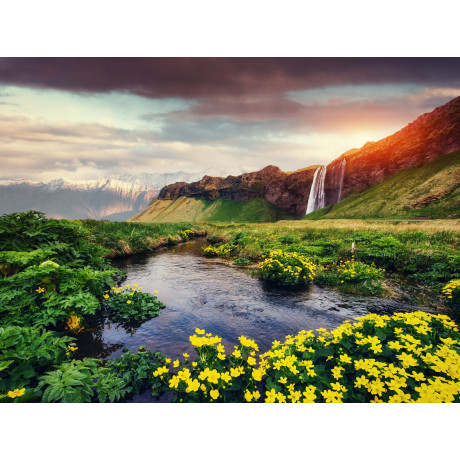 Papermoon Fotobehang Seljalandfoss waterfall Iceland