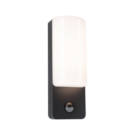 Paulmann Led-wandlamp voor buiten Bonnie IP44 93x77mm 3000K 8,5W 560lm 230V antraciet aluminium (1 stuk)