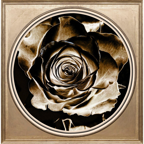 queence Artprint op acrylglas Rosé Fine Art-print in galeriekwaliteit