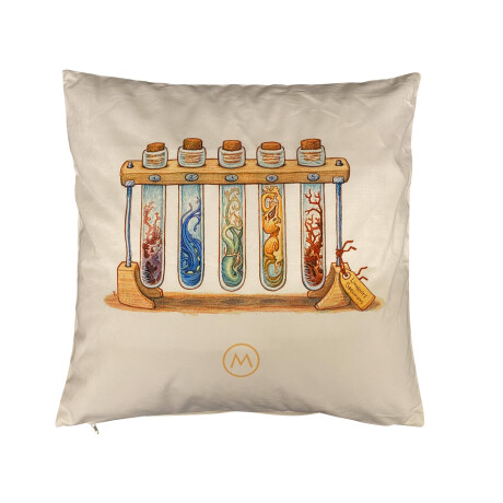 Set van 2 Sierkussens Vile | Furnilux