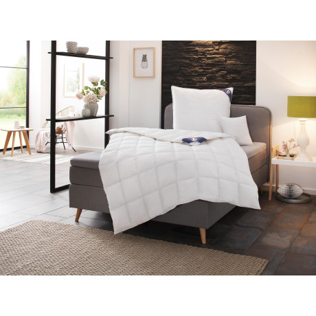 SPESSARTTRAUM Donzen dekbed + 3-kamer-hoofdkussen Exclusief Besparingsset: 5 warmteklassen, 135x200 cm & 155x220 cm (voordeelset)