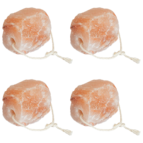vidaXL Zoutlikstenen 4 sts met koorden voor vee 10 kg roze