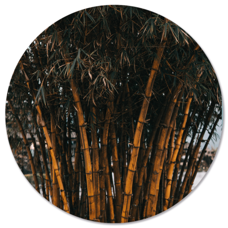 Wanddecoratie cirkel Bamboo outdoor | Label2X