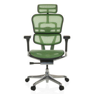 ERGOHUMAN GEN2 | net - Luxe directiestoel Groen