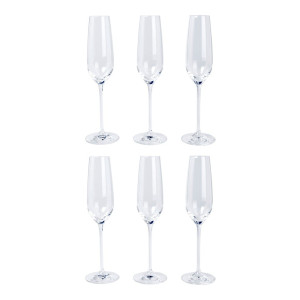 Schott Zwiesel Fortissimo champagneglas set van 6