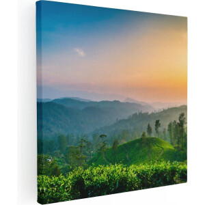Artaza Canvas Schilderij Zonsondergang Op Een Thee Plantage  - 70x70 - Foto Op Canvas - Canvas Print