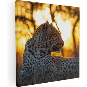 Artaza Canvas Schilderij Luipaard Tijdens De Zonsondergang - 90x90 - Groot - Foto Op Canvas - Canvas Print