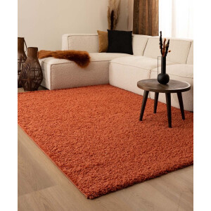 Vierkant hoogpolig vloerkleed shaggy Trend effen - terracotta 160x160 cm