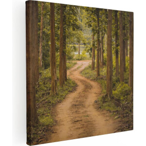 Artaza Canvas Schilderij Pad In Het Bos Met Bomen - 90x90 - Groot - Foto Op Canvas - Canvas Print