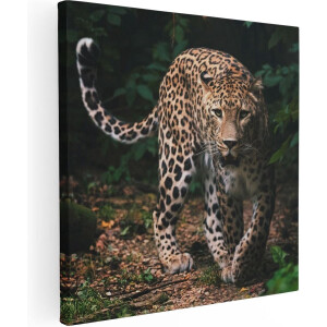 Artaza Canvas Schilderij Luipaard In Het Bos - 30x30 - Klein - Foto Op Canvas - Canvas Print