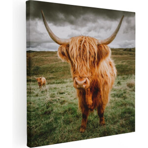 Artaza Canvas Schilderij Schotse Hooglander - 80x80 cm - Wanddecoratie Woonkamer - Muurdecoratie Dieren - Schilderijen Op Canvas