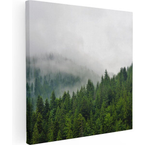 Artaza Canvas Schilderij Groen Bos Met Bomen Tijdens De Mist - 40x40 - Klein - Foto Op Canvas - Canvas Print