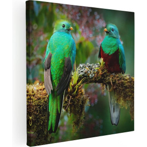 Artaza Canvas Schilderij Twee Groene Quetzal Vogels Op Een Tak - 90x90 - Groot - Foto Op Canvas - Canvas Print