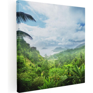 Artaza Canvas Schilderij Jungle Uitzicht Op De Seychellen - 70x70 - Foto Op Canvas - Canvas Print