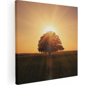 Artaza Canvas Schilderij Zonsondergang Achter Een Grote Boom - 70x70 - Foto Op Canvas - Canvas Print