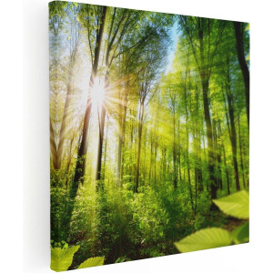 Artaza Canvas Schilderij Weg Omringd Met Bomen In Het Bos - 40x40 - Klein - Foto Op Canvas - Canvas Print