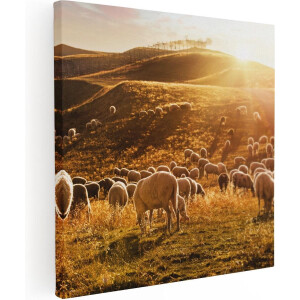 Artaza Canvas Schilderij Kudde Schapen - 40x40 cm - Klein - Wanddecoratie Dieren - Muurdecoratie Zonsondergang - Schilderijen Op Canvas