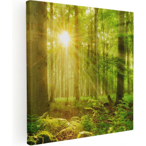 Artaza Canvas Schilderij Groen Bos Met Schijnende Zonnestralen - 40x40 - Klein - Foto Op Canvas - Canvas Print