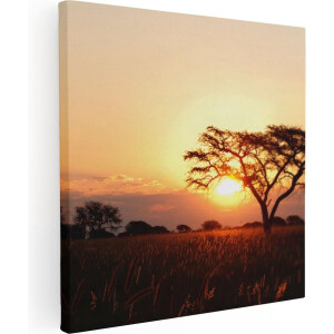 Artaza Canvas Schilderij Zonsondergang Achter Een Acacia Boom - 70x70 - Foto Op Canvas - Canvas Print