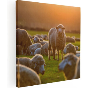 Artaza Canvas Schilderij Kudde Schapen bij Zonsondergang - 40x40 - Klein - Foto Op Canvas - Canvas Print