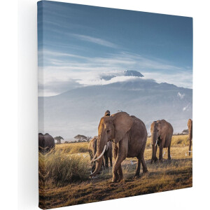 Artaza Canvas Schilderij Olifant - 50x50 cm - Wanddecoratie Afrika - Muurdecoratie Dieren - Schilderijen Op Canvas Kilimanjaro