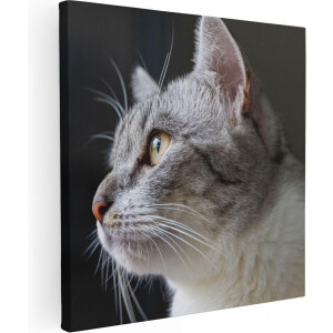 Artaza Canvas Schilderij Kat Met Gele Ogen Van Dichtbij - 90x90 - Groot - Foto Op Canvas - Canvas Print