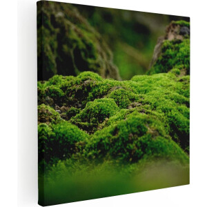 Artaza Canvas Schilderij Mos - 60x60 cm - Wanddecoratie Natuur - Muurdecoratie Bos - Schilderijen Op Canvas