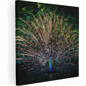 Artaza Canvas Schilderij Pauw - 90x90 cm - Wanddecoratie Vogels - Muurdecoratie Dieren - Schilderijen Op Canvas