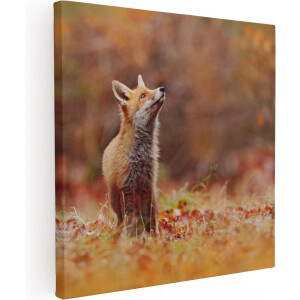 Artaza Canvas Schilderij Vos in het Bos tussen de Bladeren - 90x90 - Groot - Foto Op Canvas - Canvas Print
