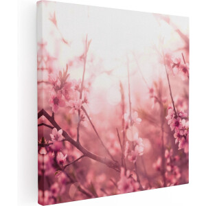 Artaza Canvas Schilderij Roze Bloesemboom Met Zonneschijn - 80x80 - Groot - Foto Op Canvas - Canvas Print