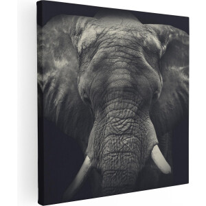 Artaza Canvas Schilderij Olifantenkop - Olifant - Zwart Wit - 30x30 - Klein - Foto Op Canvas - Canvas Print