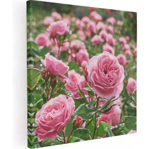 Artaza Canvas Schilderij Roze Rozen Bloemenveld - 30x30 - Klein - Foto Op Canvas - Canvas Print