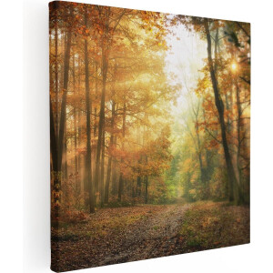 Artaza Canvas Schilderij Bos - 70x70 cm - Wanddecoratie Herfst - Muurdecoratie Landschap - Schilderijen Op Canvas Natuur