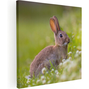 Artaza Canvas Schilderij Konijn In Het Gras - 40x40 cm - Klein - Wanddecoratie Bos - Muurdecoratie Dieren - Kamer Accessoires Natuur
